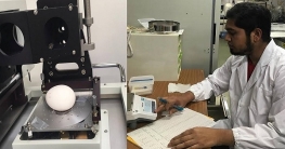 ‘ডিম না ভেঙেই মাপা যাবে খোসার পুরুত্ব’