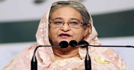 উন্নয়নশীল থেকে উন্নত দেশের কাতারে যেতে হবে: প্রধানমন্ত্রী