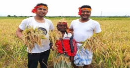 এবার রাব্বানীর সঙ্গে ধান কাটলেন শোভন এবার রাব্বানীর সঙ্গে ধান কাটলেন শোভন