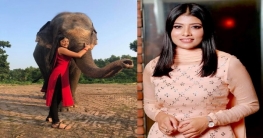 হাতি উপহার দিলেই বিয়ে করবেন টয়া!