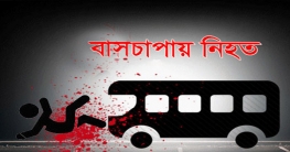 পাকিস্তানে সড়ক দুর্ঘটনায় ৬ স্কুলছাত্রীসহ নিহত ৭