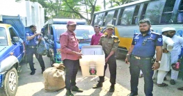 আজ যেসব উপজেলায় নির্বাচন