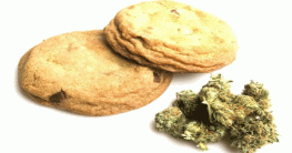 শিশুকে গাঁজার বিস্কুট খাওয়ার পরামর্শ ডাক্তারের!