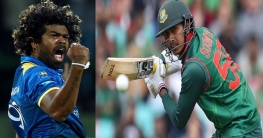 সিংহের থাবায় বাঘদের ত্রাহি অবস্থা