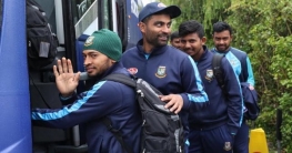 টাইগাররা এখন টনটনে