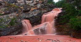 গোলাপি জলপ্রপাত!