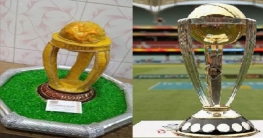 মিষ্টিতে ভরা বিশ্বকাপের রেপ্লিকা! 