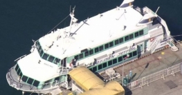 তিমির ধাক্কায় আহত হয়ে হাসপাতালে ফেরির ৮০ যাত্রী