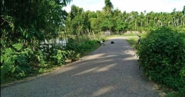 টেকনাফে দু’পক্ষের ‘গোলাগুলিতে’ যুবক নিহত