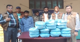 ডিবির হাতে ৩ আন্তঃজেলা মাদক সরবরাহকারী গ্রেফতার ডিবির হাতে ৩ আন্তঃজেলা মাদক সরবরাহকারী গ্রেফতার