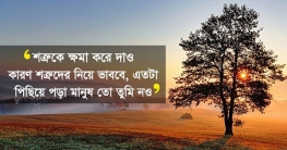 যে ৫ উক্তি আপনার জীবন বদলে দেবে