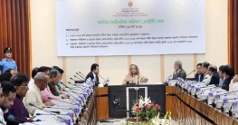 জিডিপি-মাথাপিছু আয় বেড়েছে: অর্থমন্ত্রী