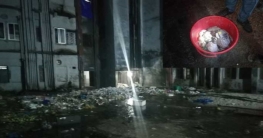 বরিশাল মেডিকেলের ডাস্টবিনে ২০ নবজাতকের দেহাবশেষ