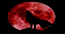 ২০১৯ সালে পৃথিবীর আকাশে ‘নেকড়ে চাঁদ’