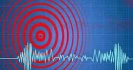 রাজধানীতে ভূমিকম্প অনুভূত