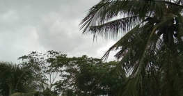 বরগুনায় ঝড়ো হাওয়া ও বর্ষণ শুরু