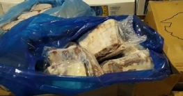 কারওয়ান বাজারে পচা মাছ-মাংসের সন্ধান