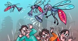 মশার গুনগুনে অস্থির ঢাকা