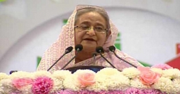 কৃষিও চাই, শিল্পায়নও চাই: প্রধানমন্ত্রী