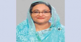 নুসরাত হত্যাকারীদের কঠোর শাস্তির পরামর্শ প্রধানমন্ত্রীর