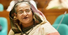 প্রতিহিংসা নয়, ঐক্যে বিশ্বাসী আওয়ামী লীগ: প্রধানমন্ত্রী