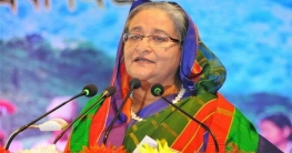 জঙ্গিবাদ দমনে আনসার-ভিডিপিকে জোরালো ভূমিকা পালনের আহ্বান