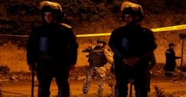 মিশরে সন্ত্রাস বিরোধী অভিযানে ৪০ জন নিহত