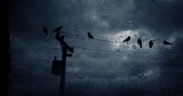 আগামী ৩ দিন বৃষ্টির সম্ভাবনা