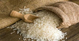 চালকে পোকার হাত থেকে রক্ষা করার উপায়