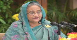 লাঞ্ছনাকারী ও হত্যাকারীদের ছাড় নয়: প্রধানমন্ত্রী