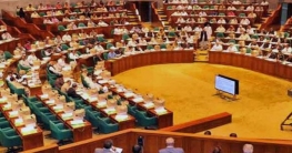 এমপিদের নিয়ে সর্বদলীয় তদন্ত কমিটি গঠনের দাবি