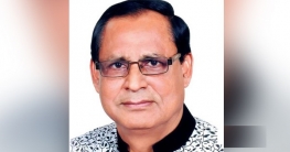 আগামী দিনেও আ.লীগের সরকার প্রয়োজন: আনোয়ার হোসেন