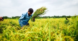 ‘বিশ্বের ৪১তম বৃহত্তম অর্থনীতি বাংলাদেশের, ২০৩৩ সালে হবে ২৪তম