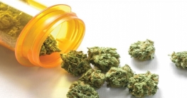 মেডিকেল মারিজুয়ানার বৈধতা দিলো থাইল্যান্ড