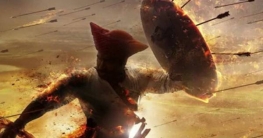 বলিউডে ২০২০ সালে ‘ধামাকা’ হবে বলিউডে ২০২০ সালে ‘ধামাকা’ হবে