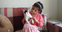 পোষ্যর সঠিক যত্ন নিচ্ছেন তো?