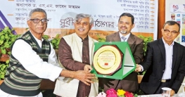 নুরুল হক সাহিত্য পুরস্কার পেলেন আনিসুল হক