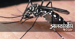 বিদায়ী বছরে ডেঙ্গুতে আক্রান্ত হয়েছেন ১০ হাজার