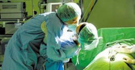 ওটিতে রোগীর সামনেই অন্তরঙ্গে নার্স-চিকিৎসক, ভিডিও ভাইরাল