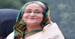 ‘স্বাস্থ্যসেবা নিশ্চিতে বেসরকারি প্রতিষ্ঠানকেও এগোতে হবে’