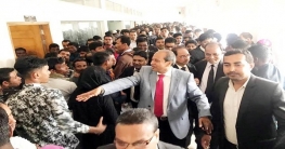 নৌকার পক্ষে আইনজীবীরাও নৌকার পক্ষে আইনজীবীরাও