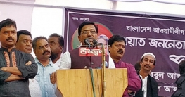 উপজেলা নির্বাচনে বিএনপিকে অংশগ্রহণ করার আহ্বান হানিফের