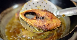 একদিনের ভ্রমণে ‘ইলিশের দেশ’ চাঁদপুর!