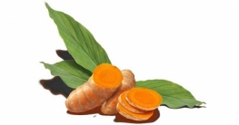 কাঁচা হলুদের ৫টি গুণ