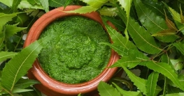 নিমপাতার ৬ ঔষধিগুণ