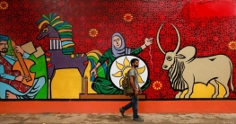 ৫৫ দেশকে ভিসামুক্ত ঘোষণা করতে যাচ্ছে পাকিস্তান