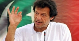 নাসিরউদ্দিন শাহের পক্ষ নিলেন ইমরান খান