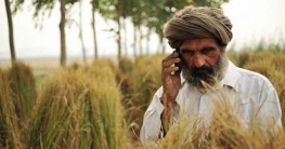 কৃষক মারা গেলে ২ লাখ টাকা পাবে তার পরিবার কৃষক মারা গেলে ২ লাখ টাকা পাবে তার পরিবার