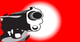 কুকুরকে ঢিল মারায় পথচারীকে গুলি করে হত্যা!  