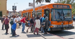 বিনামূল্যে বাস ট্রেনে ভ্রমণের সুযোগ!